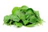 Spinach: Baby UK