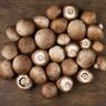 Mushroom: Chesnut UK