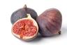 Fig ESP