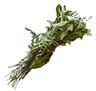 Herbs: Mixed Bundle