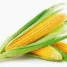 Sweetcorn Cob