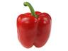 Bell Pepper: Red ESP