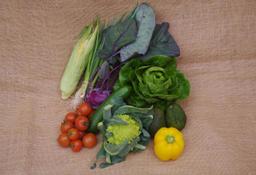 Image of Seasonal Organic Salad Box