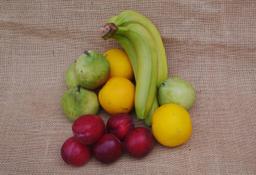 Image of Fruit Bag £12.50 Organic