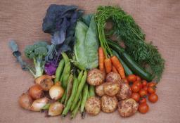 Image of Large Organic Veg Box