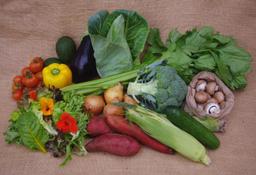 Image of GoTo Box - Organic